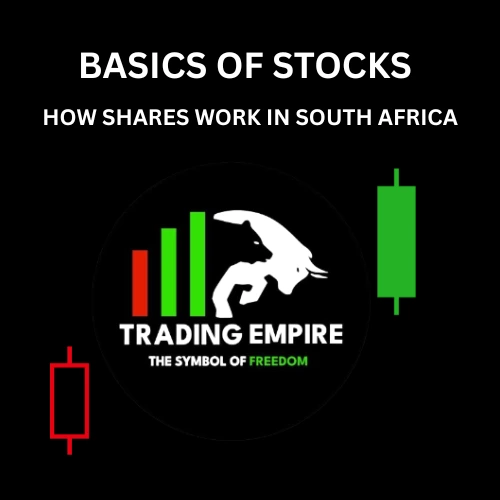 Basics of Stocks – Learn How Shares Work in South Africa